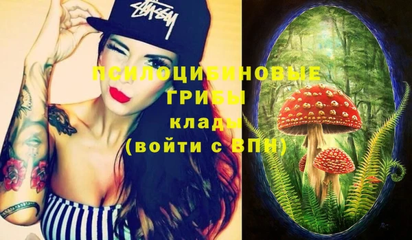 спиды Липки