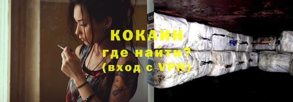 прущие грибы Кукмор