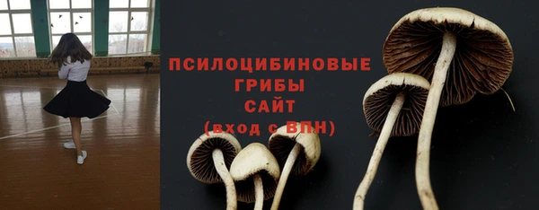 индика Лиски