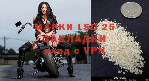 спиды Липки