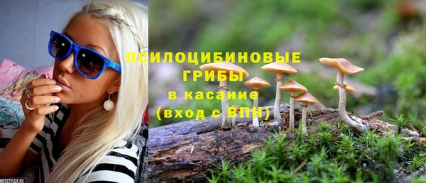 индика Лиски